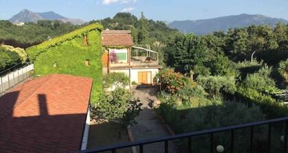 1 Bedroom Apartment in Rivello