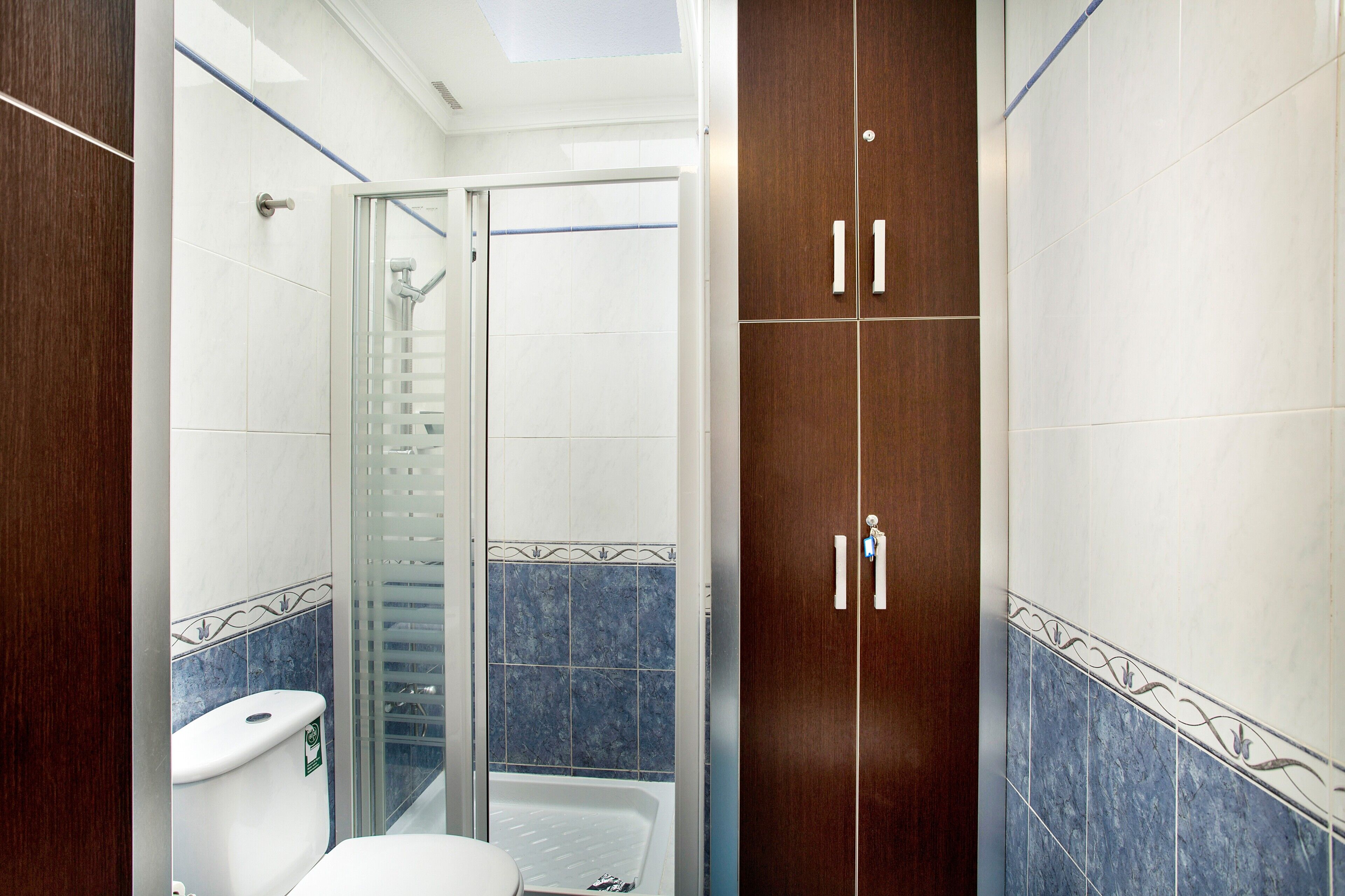 A bathroom with a toilet, shower, and wooden wardrobe.