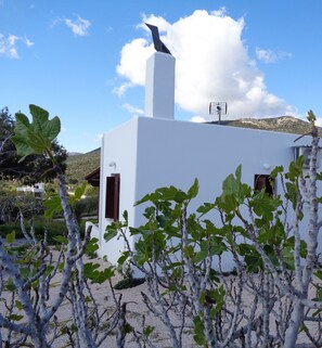 Property grounds - Black Sand Holiday Home with Sea View and Private Terrace (Naxos)