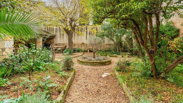 Un jardín con un sendero, una mesa con sillas y diversas plantas.