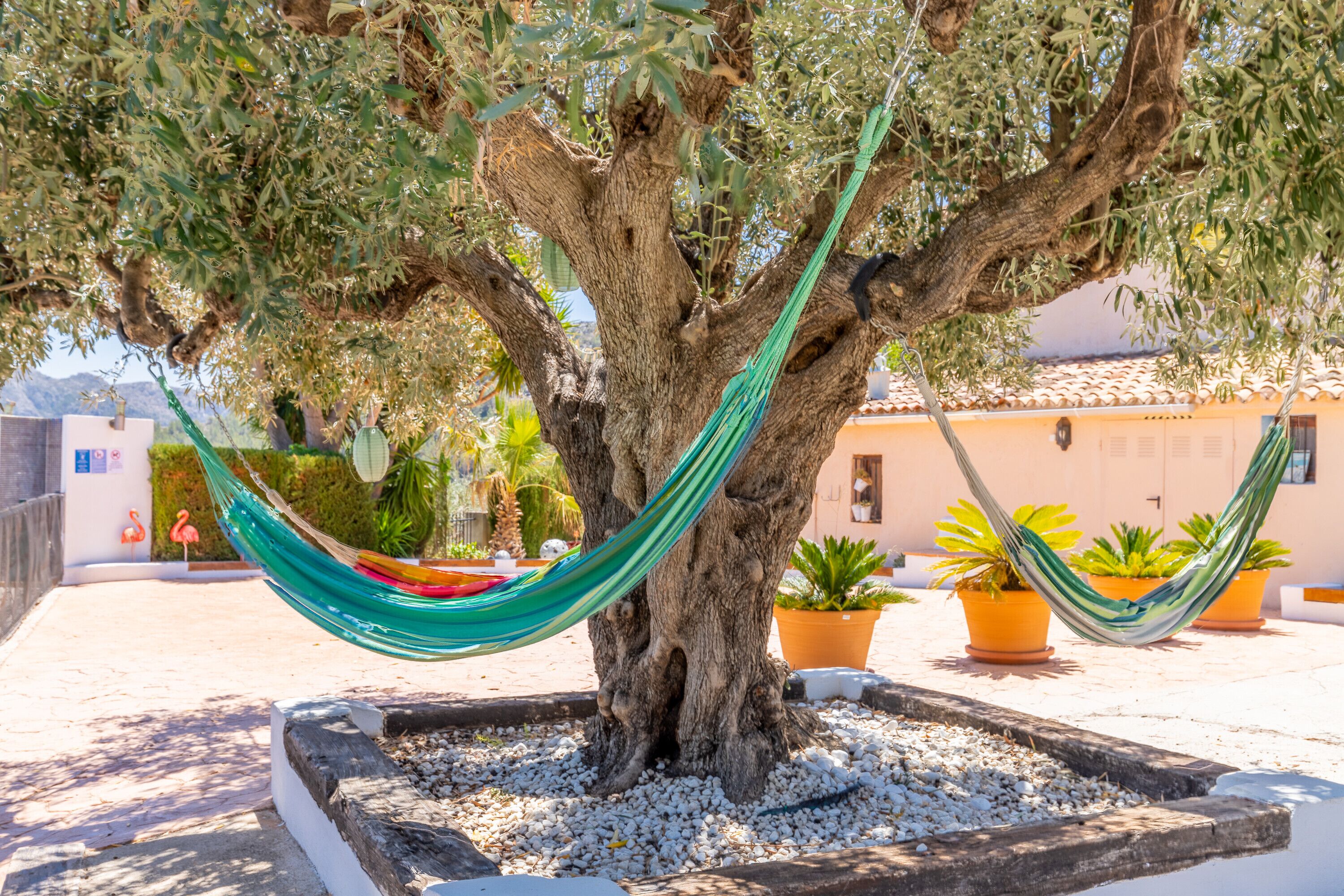 Terrein van de accommodatie