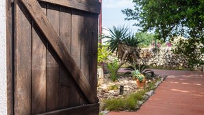 Een houten poort met een diagonaal verstevigingsstuk, een pad van bakstenen en een tuin met verschillende planten en een stenen muur.