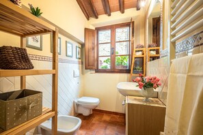 Douche, séchoir à cheveux, serviettes fournies