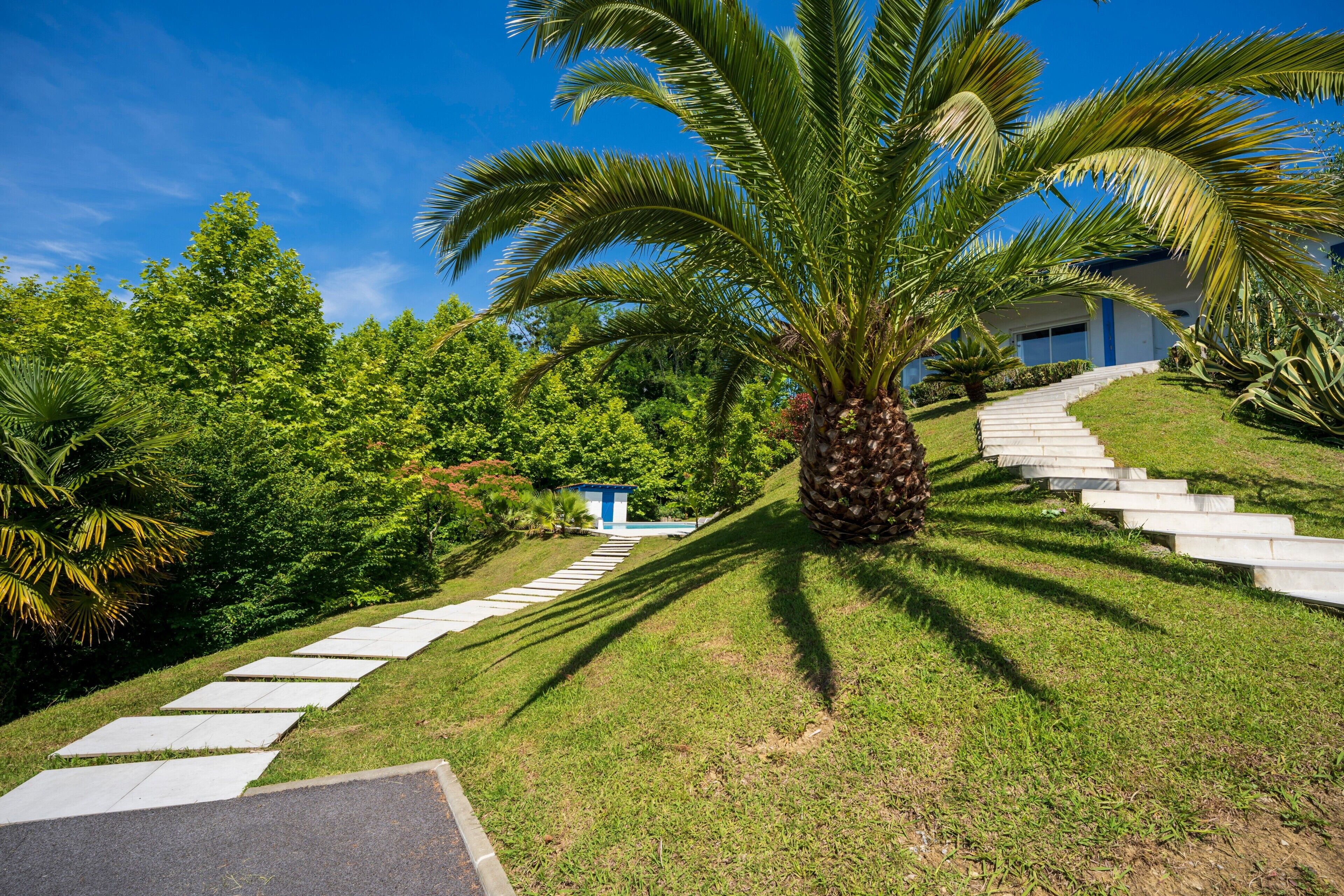 Área da propriedade