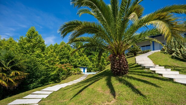 A pathway leading to a building with a staircase, surrounded by lush greenery and palm trees. - Apartment 'Appartement Dans Maison Urcuit' with Mountain View, Private Pool and Wi-Fi (Urcuit)