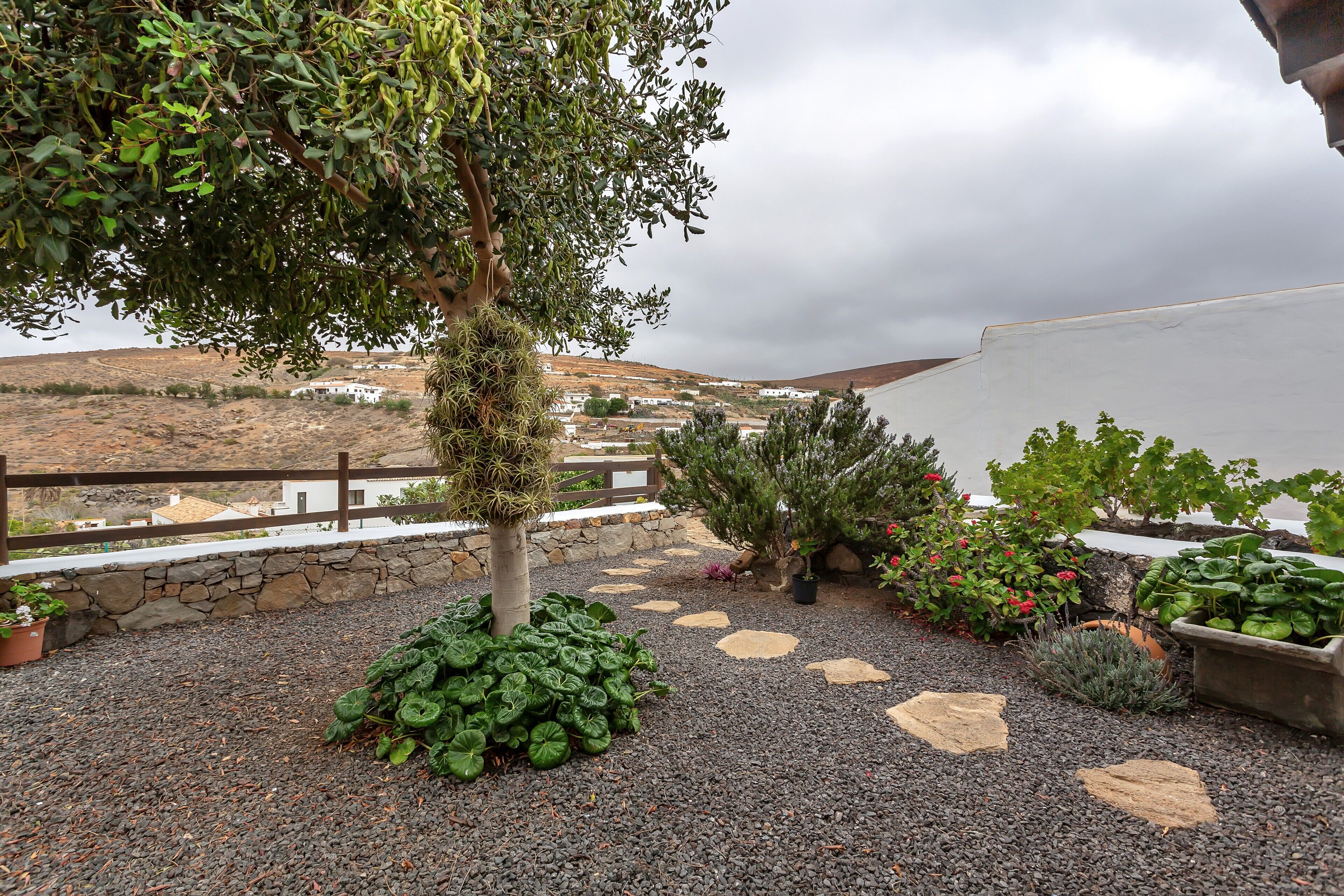 A garden with a variety of plants, a stone wall, and a view of a coastal landscape.