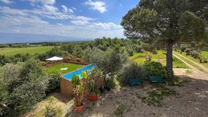 Un jardin avec une piscine, une structure de jeux en bois et un grand arbre.