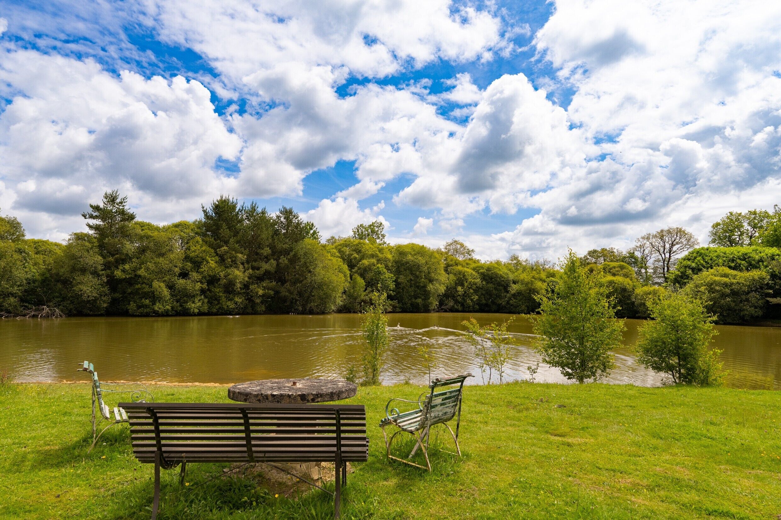 A park with a lake, benches, and trees.