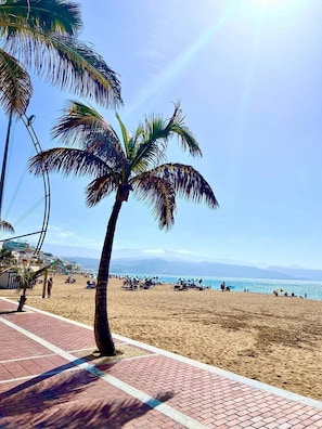 Una playa con palmeras, cielo despejado y una cadena montañosa distante.