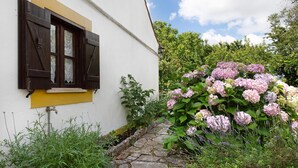A white building with a yellow window sill, a stone pathway, and a garden with hydrangea flowers. - Room at 'Casa Do Largo - First Floor' with Shared Terrace, Shared Garden, and Wi-Fi (Mendiga)