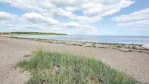 A beach with a sandy shore, grassy areas, and a calm body of water.