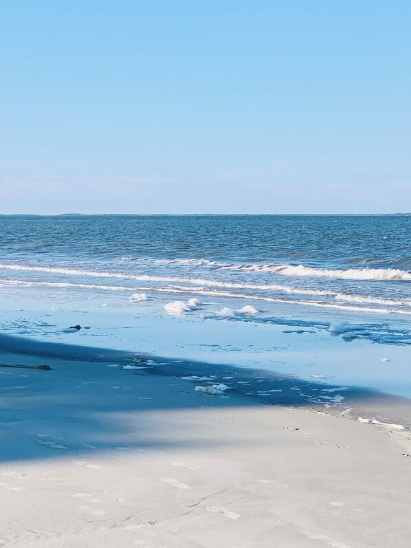 Beach - Oceanfront 2 Bedroom Condo in Beach Resort: Paradise and Pools (Saint Helena Island)