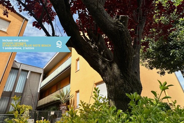 Property grounds - SE094 - Marzocca, three-room apartment with beach included (Marzocca)