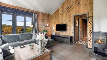 Smart TV, fireplace, video-game console