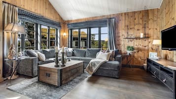 Smart TV, fireplace, video-game console