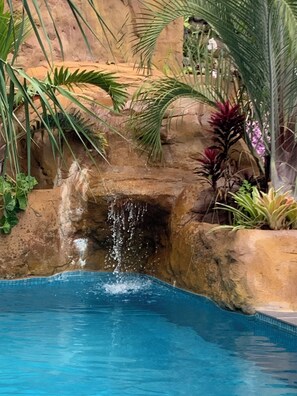 A pool with a waterfall feature surrounded by tropical plants.