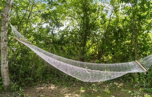 Un hamac suspendu entre des arbres dans une zone boisée.
