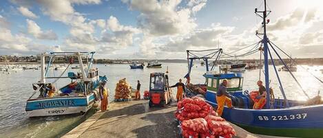 A harbor with boats docked, a forklift, and people loading bags onto a boat.