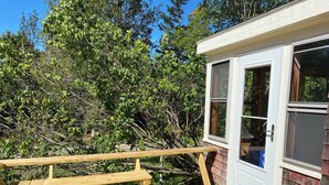 Eine Holzterrasse mit einer Bank, einer weißen Tür mit Fenster und Blick auf dichtes Grün.