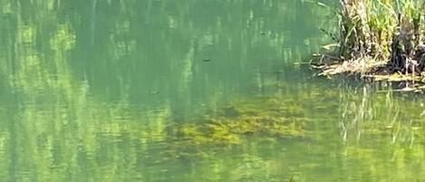 Towels, toilet paper