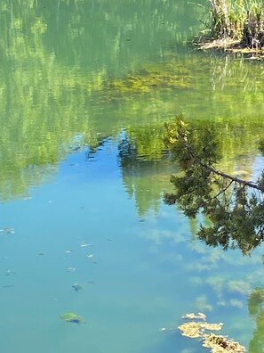 Handtücher, Toilettenpapier