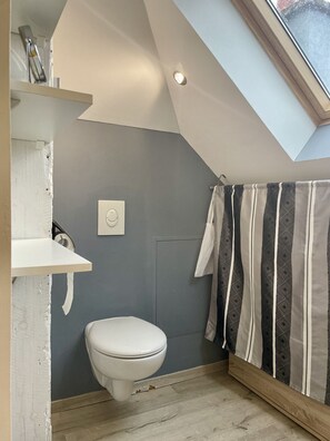 Douche, séchoir à cheveux, serviettes fournies, shampooing