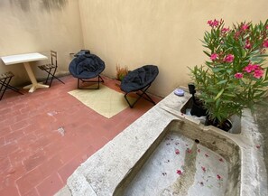 Terras