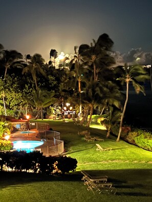Property grounds - NEW DIRECT OCEANFRONT Paradise South Side Retreat!  Quiet, Peaceful, Beachfront
 (Wailuku)