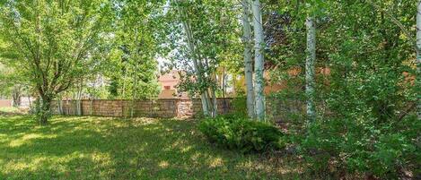 A grassy outdoor area with trees and a brick wall.