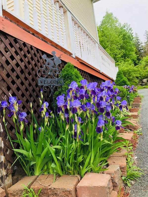 Exterior detail -  Overlooking the Stunning views of St.Margaret's Bay (Upper Tantallon)
