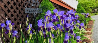  Overlooking the Stunning views of St.Margaret's Bay