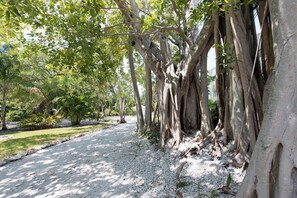 Overnattingsstedets uteområder