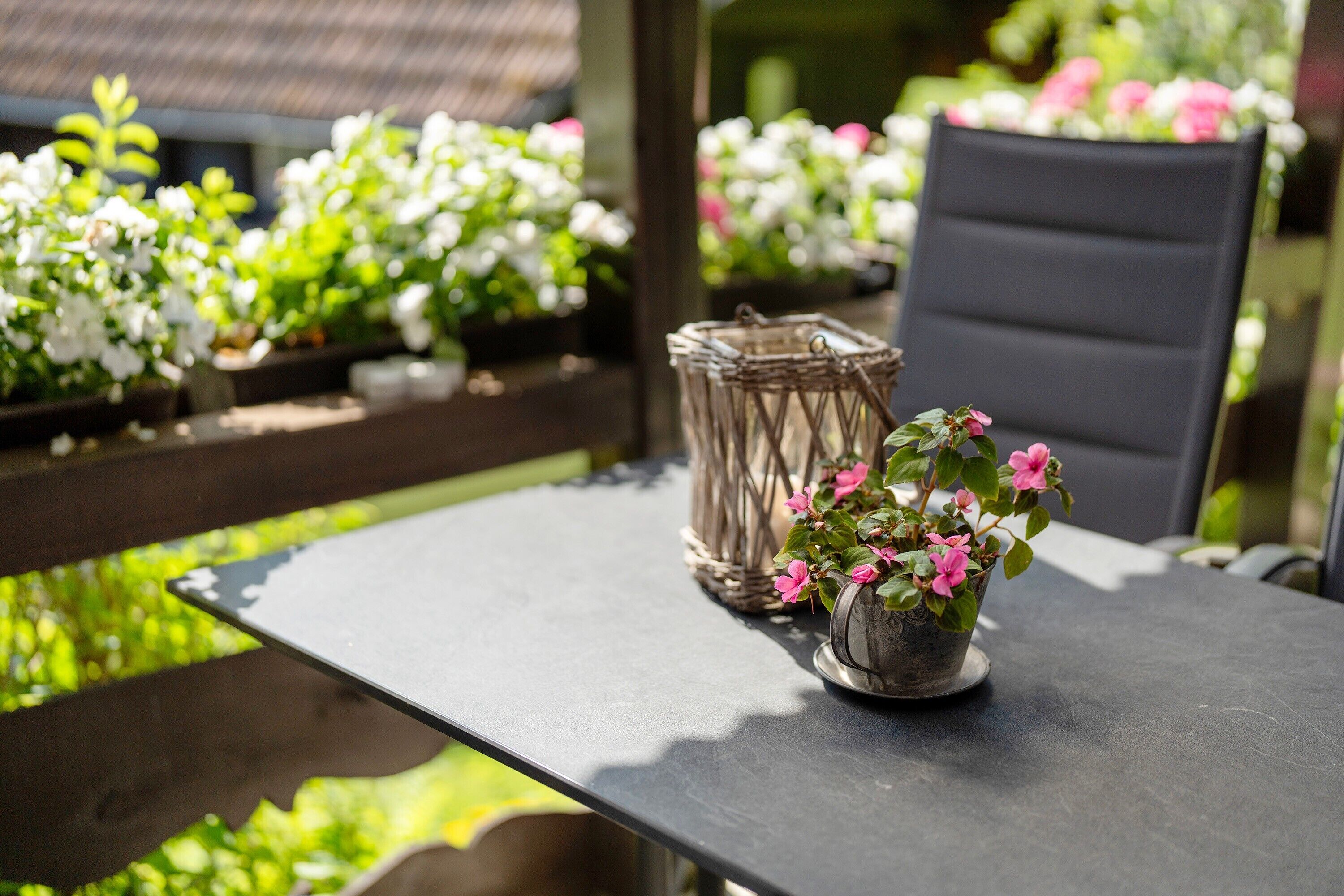 Restauration en plein air