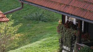 Une maison avec un toit en pente, une gouttière visible et un jardin avec de la pelouse et des plantes.