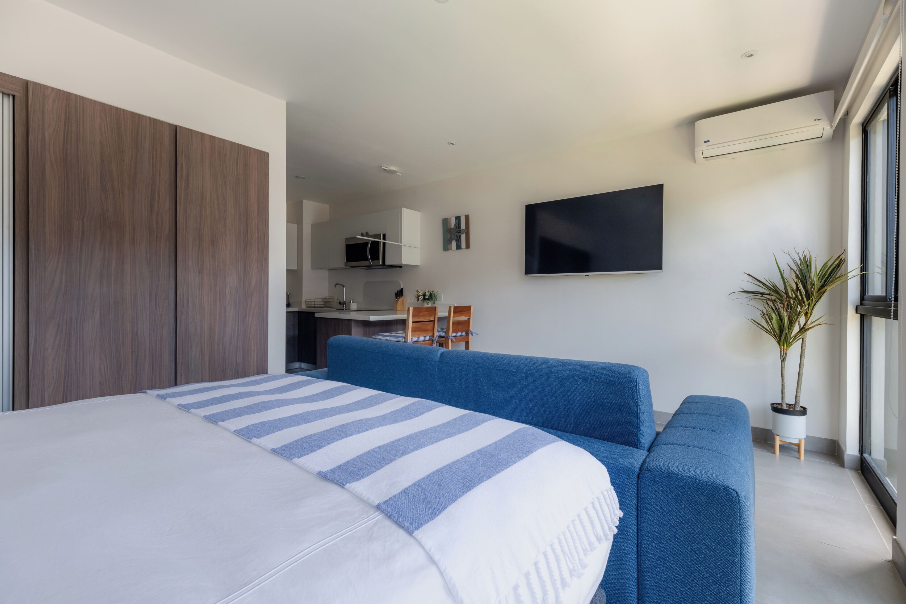 Une chambre d’hôtel moderne avec un grand lit, un canapé bleu, un téléviseur à écran plat et une plante en pot.
