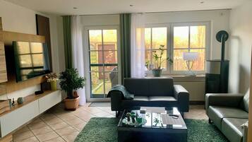 智能電視、壁爐、書籍、電腦螢幕