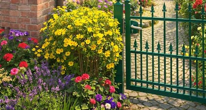 Reeser Schatzkästchen Ferienwohnung