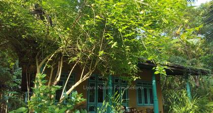 Villa with nature-themed AC rooms in middle of a coconut estate in Sri Lanka.