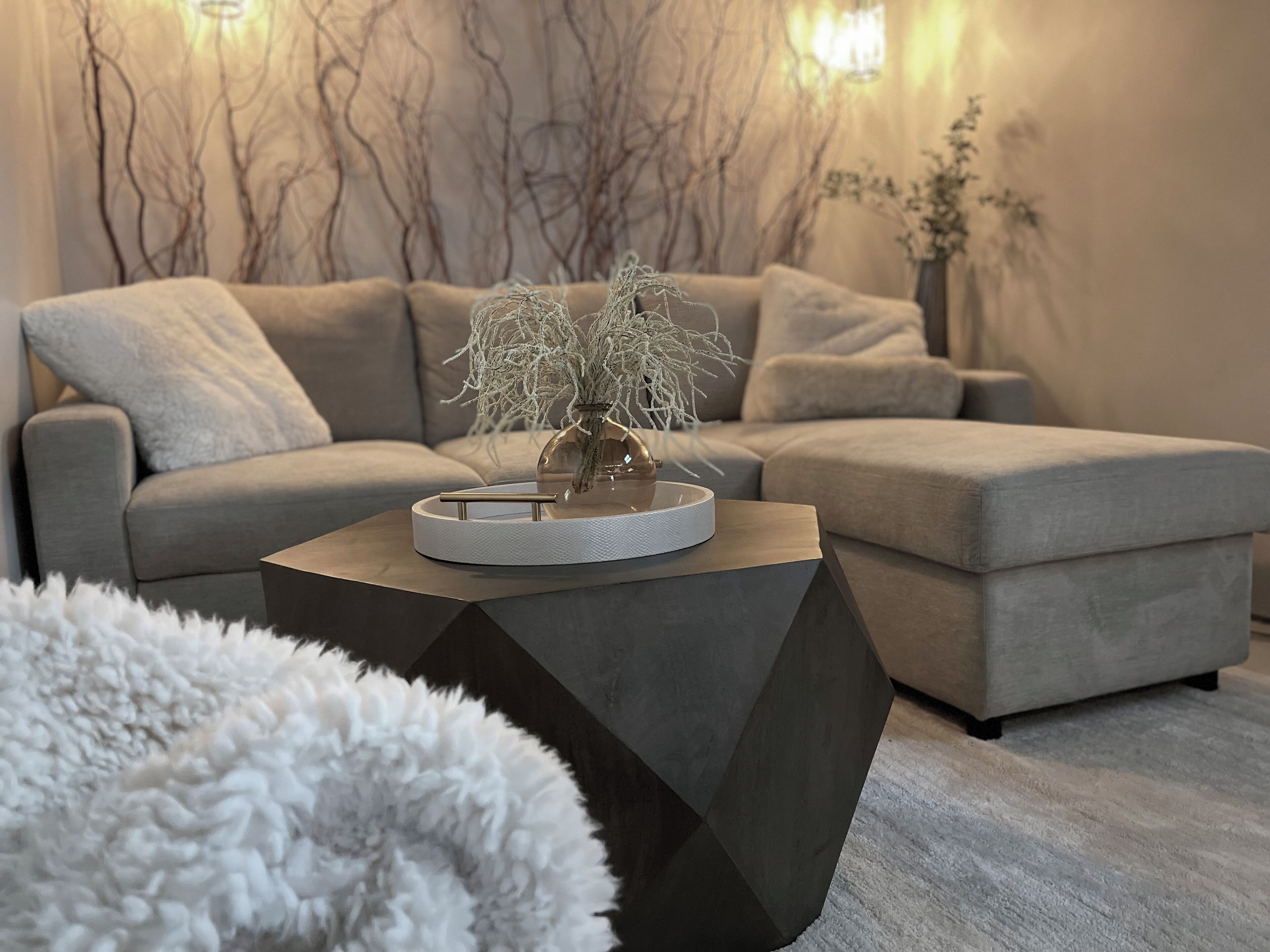 Smart TV, fireplace, video games, books