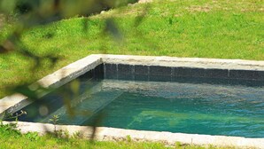 Une piscine rectangulaire bordée de béton, entourée de pelouse.