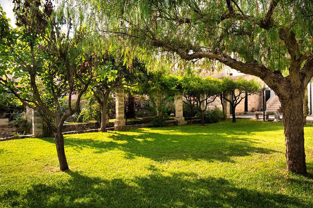 Parco della struttura