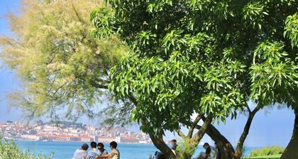 Nid familial Ă Lisbonne