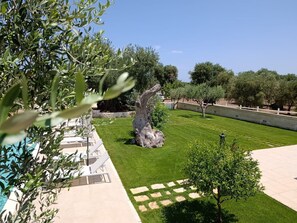 Terrein van de accommodatie