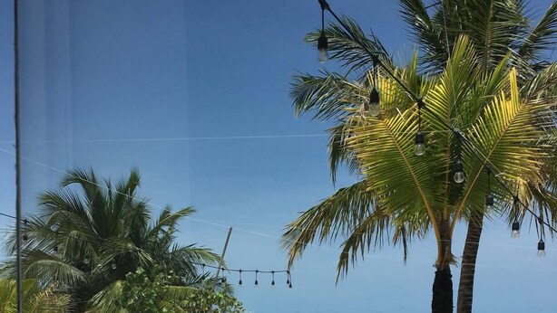 A beach with white lounge chairs, a palm tree, and a clear view of the ocean. - The Sunset Villa (Dhiffushi)