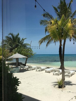 A beach with white lounge chairs, a palm tree, and a clear view of the ocean. - The Sunset Villa (Dhiffushi)