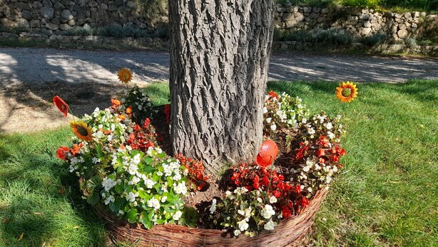 A tree surrounded by a wicker basket filled with various flowers. - Propriété en pleine nature   (Beynes)