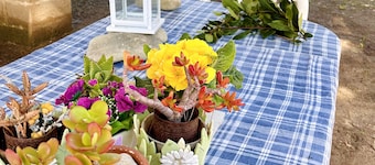 1 Bedroom Condo in San Pietro In Bevagna