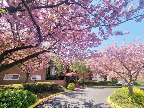 Updated 1BR Top-Floor Condo | Fenced Yard | Pool & EV Charger
