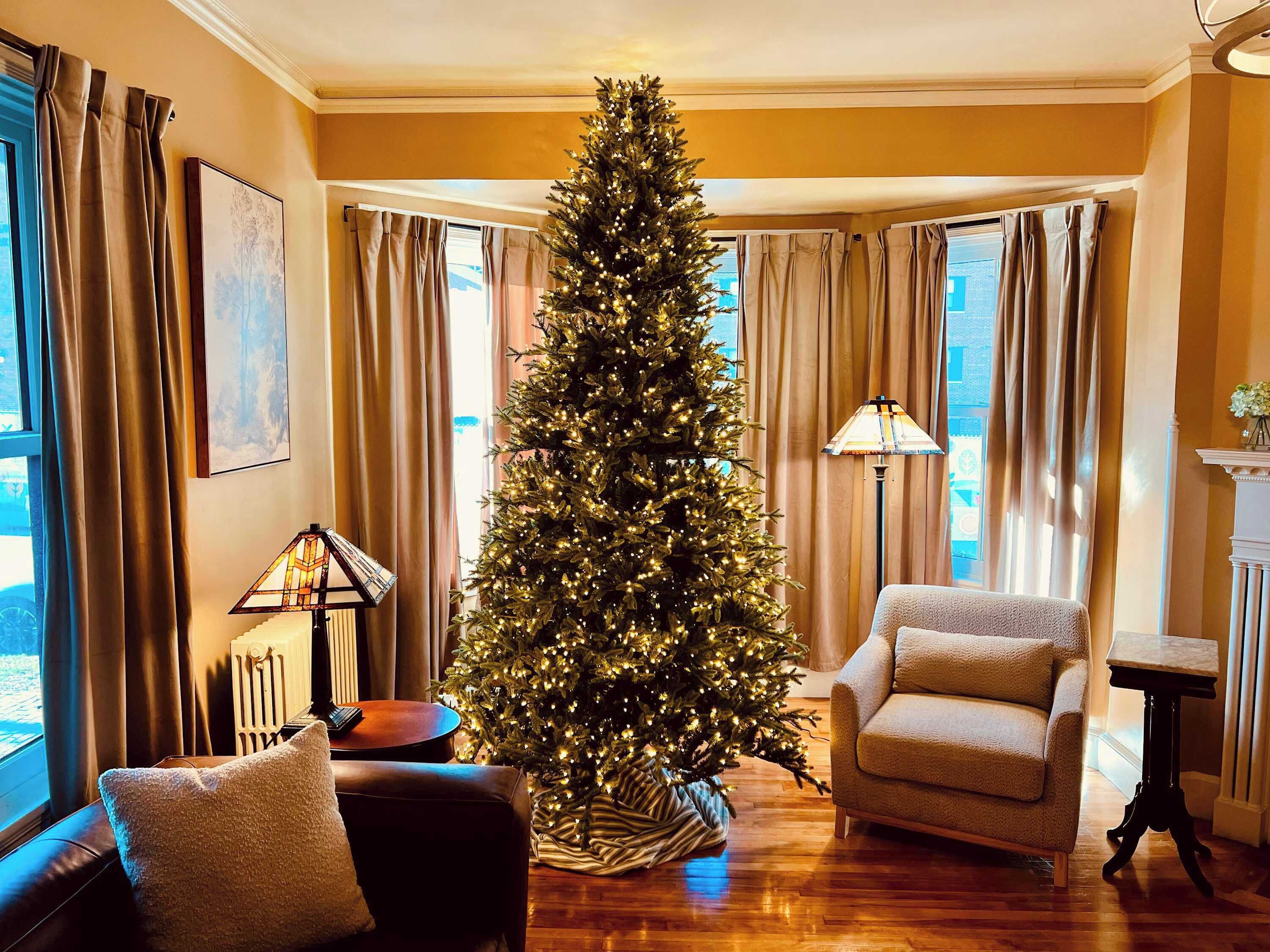 Télévision, cheminée, livres, espaces bureaux