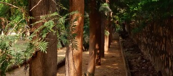 The Raghav - Villa/Farmhouse Getaway amidst Nature